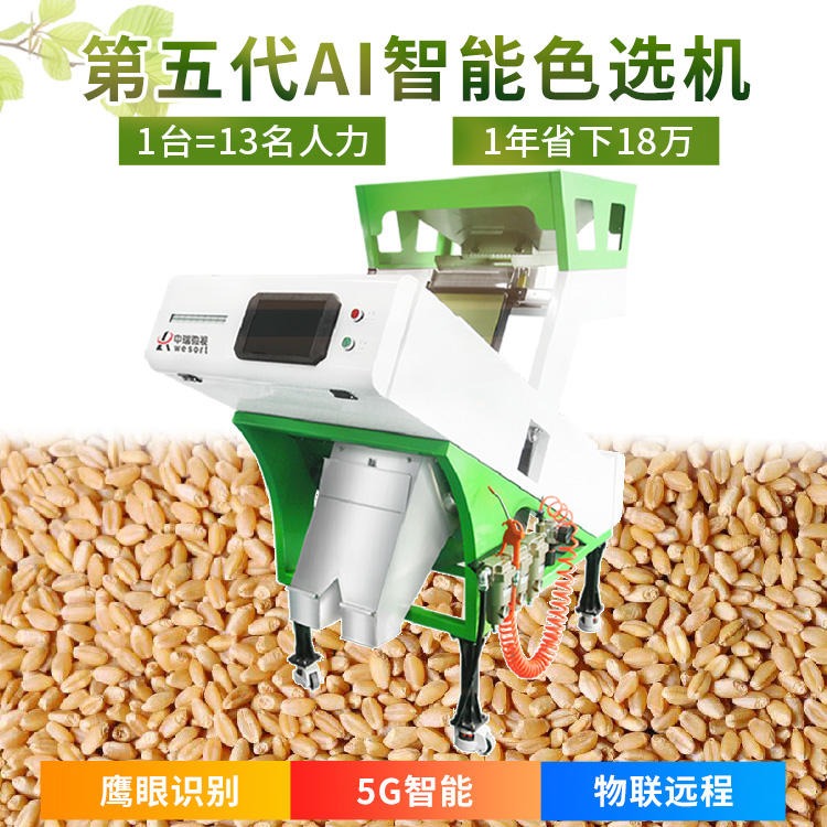 小麦色选机 6SXZ-68 小型燕麦筛选机 专业筛选小麦 中瑞微视色选机厂家直销 价格优惠 全款98折图片