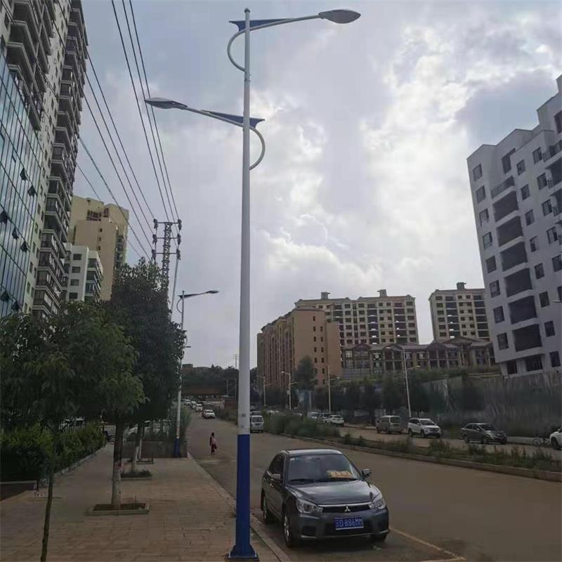 鑫永虹照明 9米双臂市政道路LED智能路灯 热镀锌灯杆模组光源图片