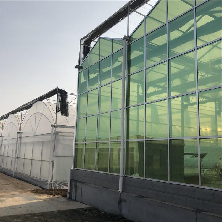 博伟 BW 智能玻璃大棚 连栋温室 现代化连栋玻璃温室 承建连栋温室建设