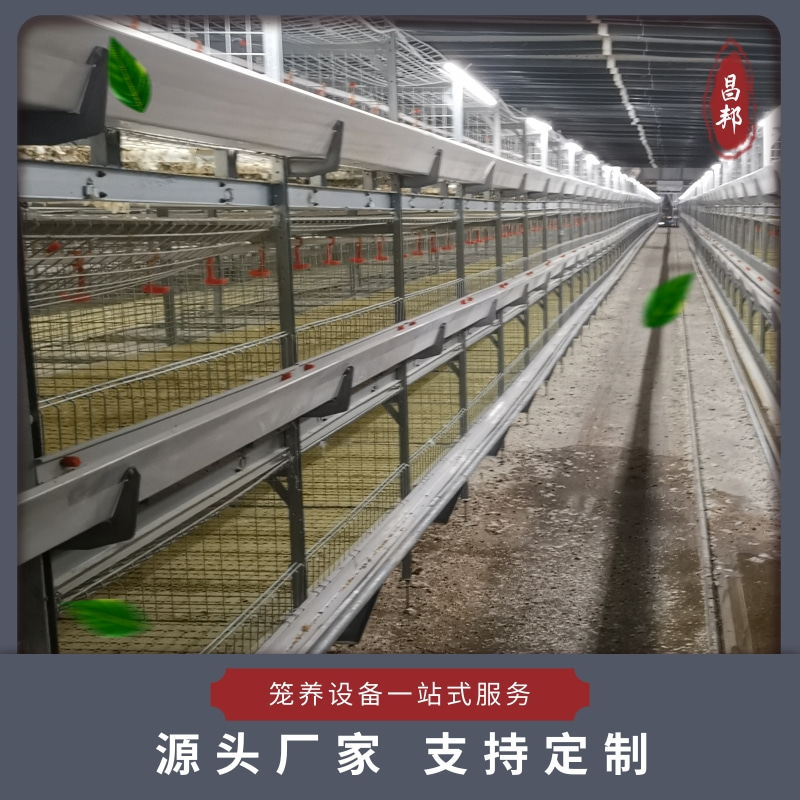 肉鸡笼价格 肉鸡笼厂家 昌邦 养殖场用养鸡笼 选材严格