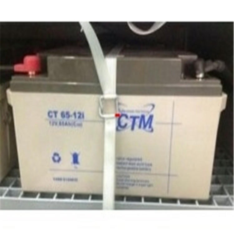 德国CTM蓄电池CT100-12不间断电源UPS应急能源安防系统