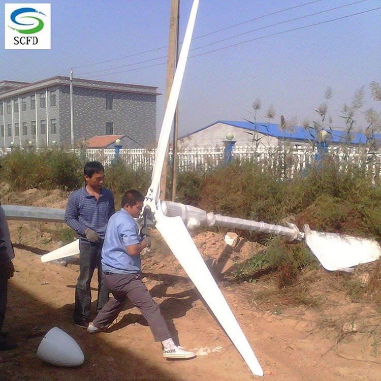 1000w小型风力发电机 线铜绕组质量价格双优 1KW风力发电机家用