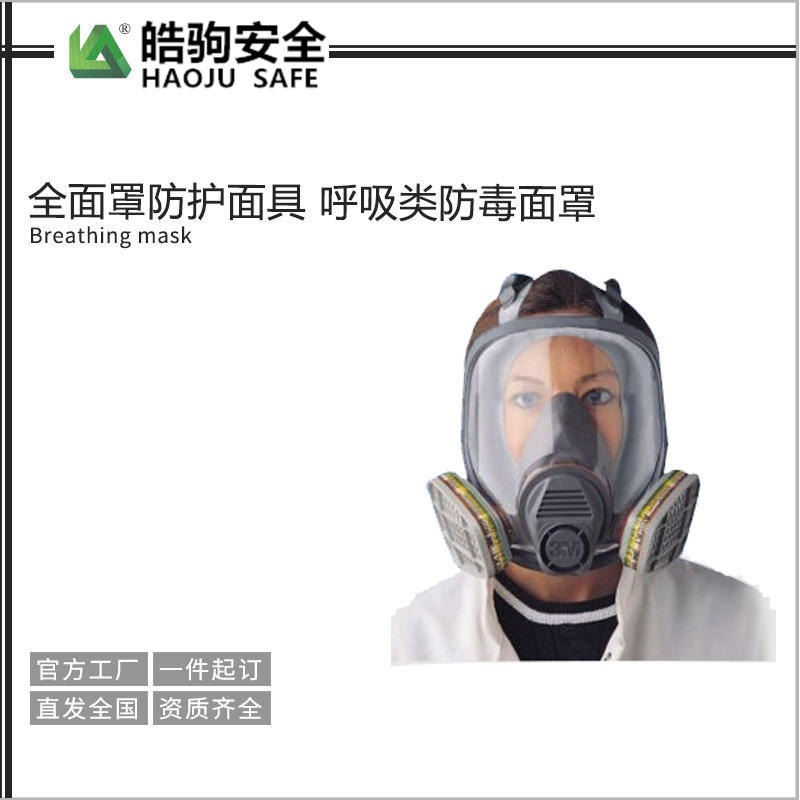 大视野呼吸面罩 防毒面具 防刺激气味面具上海皓驹图片