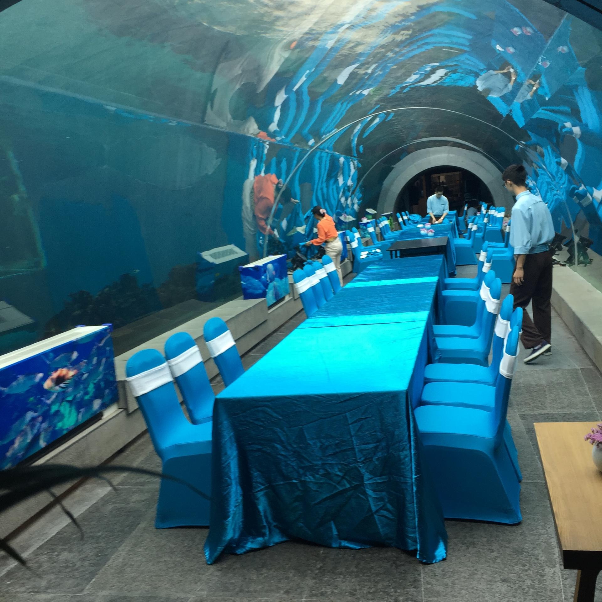 lanhu大型海水鱼缸工程承接亚克力鱼缸工程 有机玻璃鱼缸定制设计 鱼缸造景