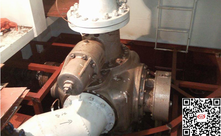 V6.4ZK38M1W73立式双螺杆泵用于多家化工企业,得到广泛认可示例图5