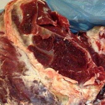厂家短促纯进口蒙古马肉 正宗精品蒙古马肉 现杀新鲜蒙古马肉图片