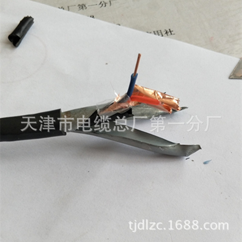 铜芯计算机通讯电缆ZR-DJYP2V22 国标 厂家直销示例图8