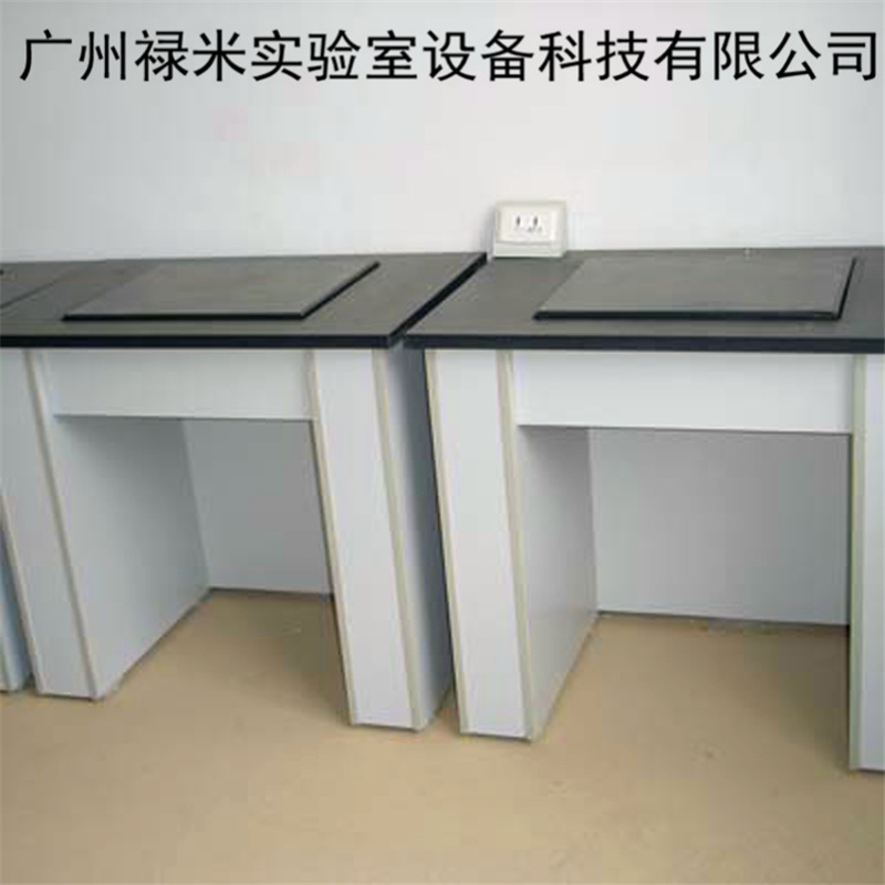 广州钢木天平台 禄米实验室厂家直销LUMI-TPT25