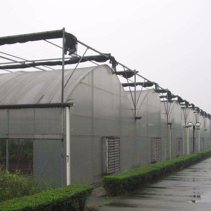 潍坊建达温室 专业安装设计 连体大棚 蔬菜大棚 厂家直销薄膜温室