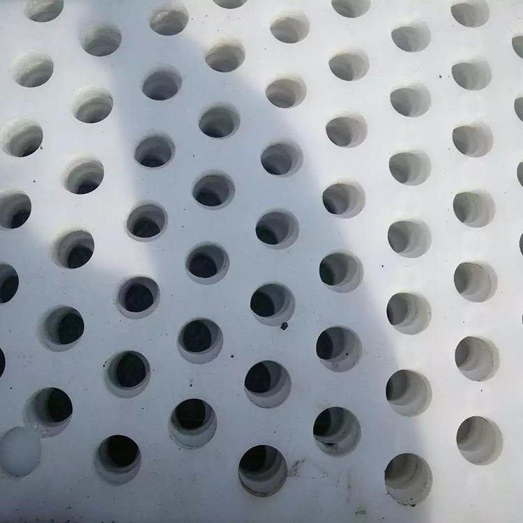 欧腾 带孔pe塑料板 聊城 塑料洞洞板加工厂 15mm厚塑料筛板价格  塑料冲孔板厂家
