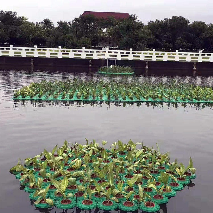 复合式生态浮床 水上景观绿化浮板 抗风浪水上生态浮岛 一匡厂家供货