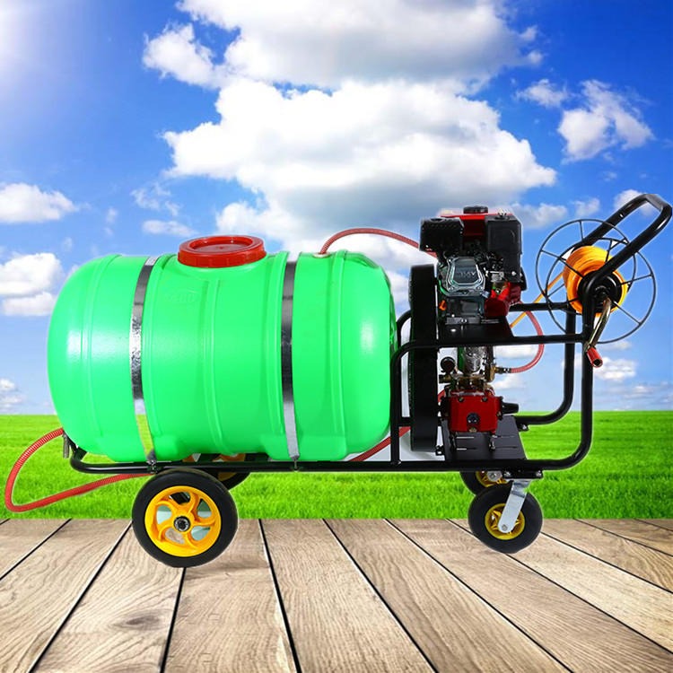 汽油高压喷雾机   农田菜园喷药机   推式高压喷雾器