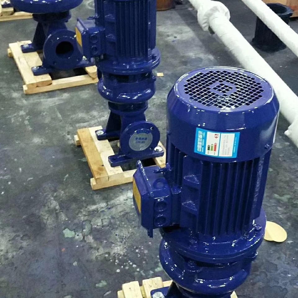 LW立式无堵塞排污泵 LW250-600-9-30 立式排污泵 直立式污水提升泵