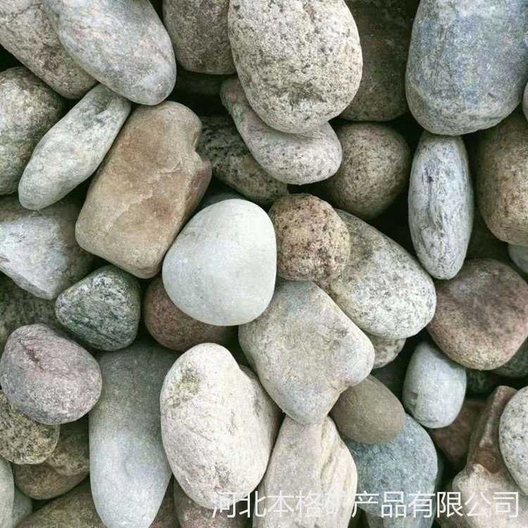 天津矿山供应 海滩鹅卵石  河道鹅卵石 手工绘画河卵石 型号全图片