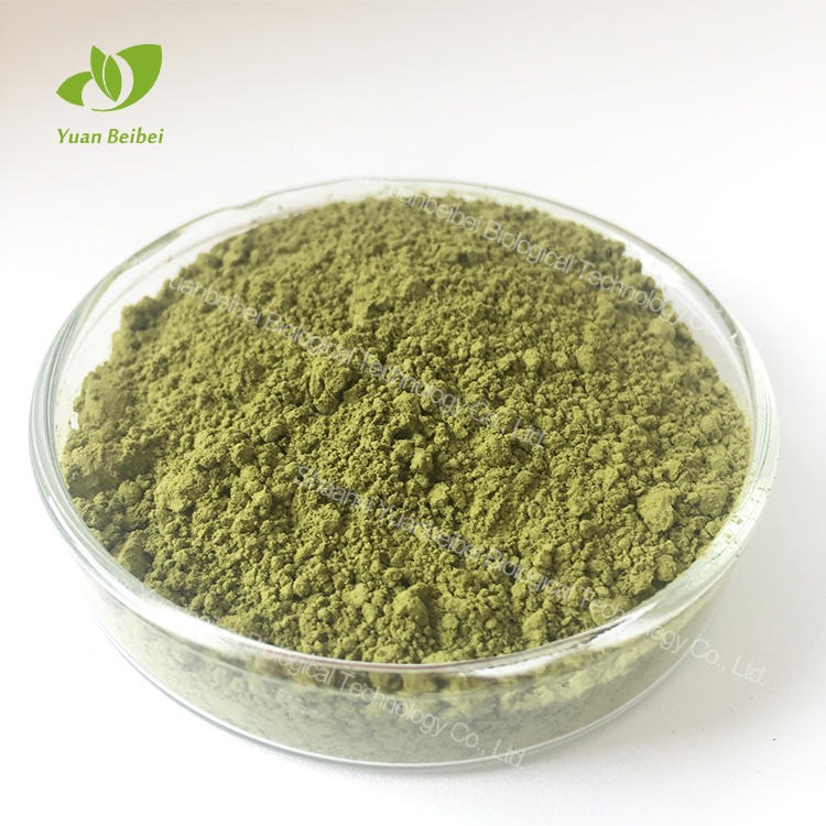 绿茶提取物 SC源头工厂质量保证 免费拿样 烘焙原材料绿茶粉 壹贝子抹茶粉