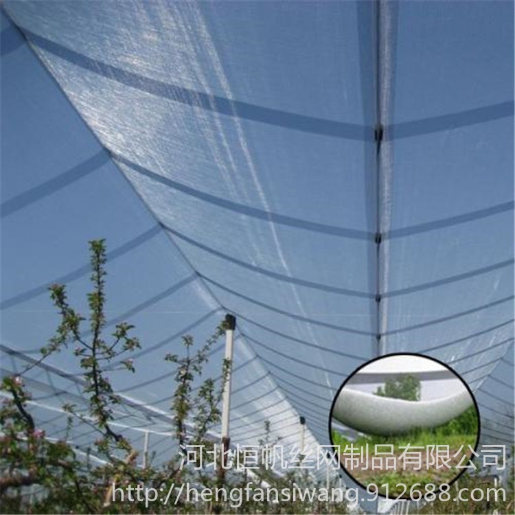 恒帆  农业养殖防护网  白色果园防雹网规格  防鸟网   防雹网安装方案