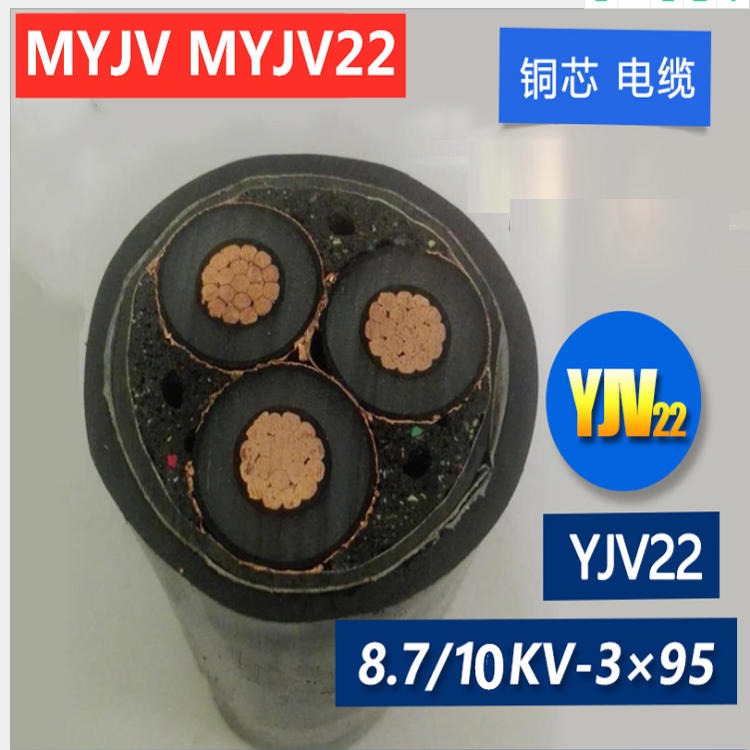 矿用铠装电缆 MVV矿用低压电力电缆  小猫牌 MVV 矿用低压电力电缆