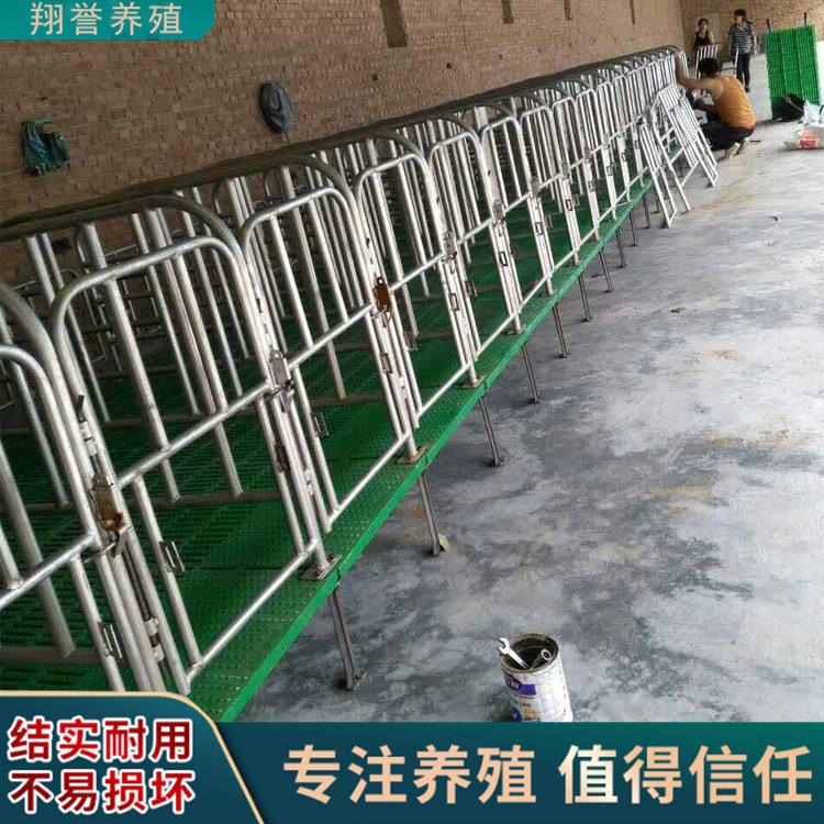 翔誉落地式养猪场用设备 带漏粪板5位简易产床 10位猪用定位栏