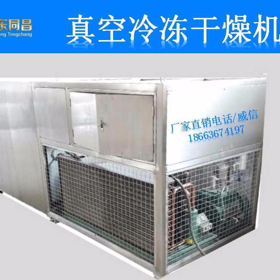 肉类低温干燥设备	小型冻干机20平方冷制真空干燥	哈密瓜真空冻干设备厂家图片