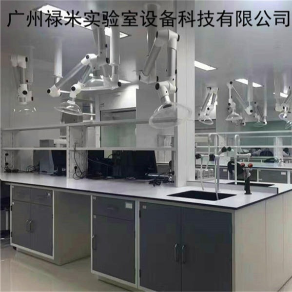 禄米实验室 检测室操作平台 实验台 边台 天平台 高温台 实验室家具 LM-SYT10706图片