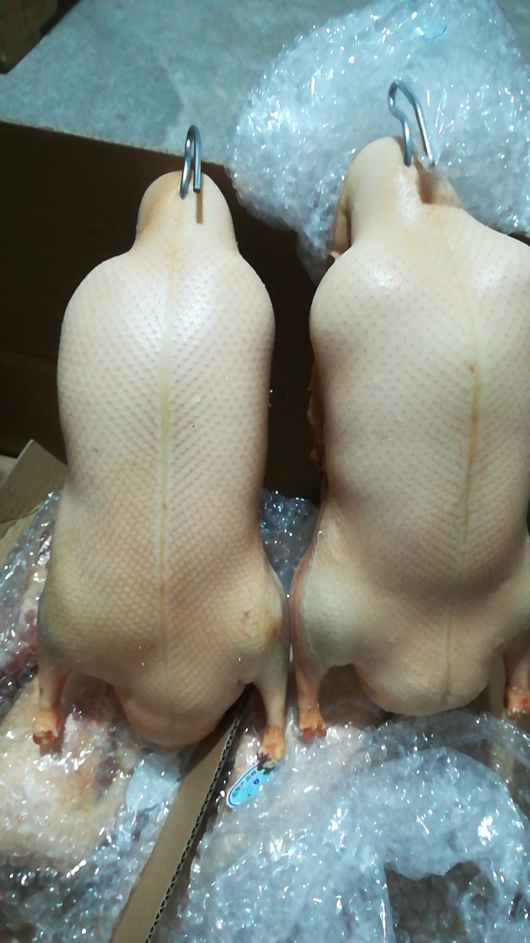 厂家直销四系冷冻鸭樱桃谷鸭胚净膛鸭胚价格冷冻净膛鸭