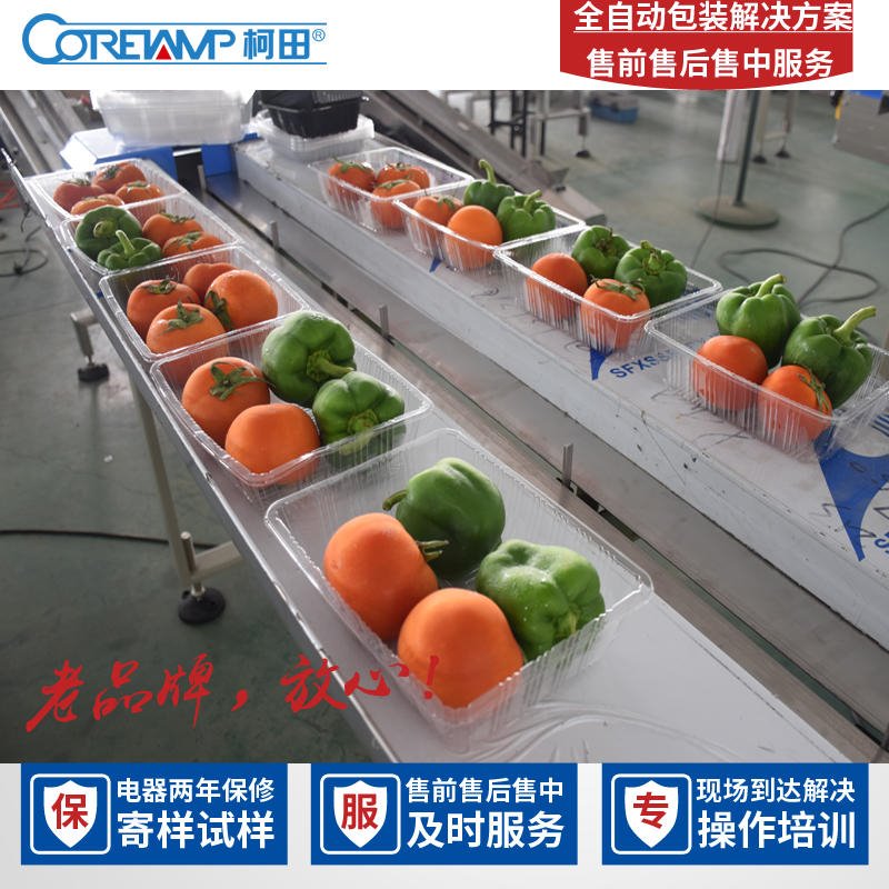 定制蔬菜水果托盘全自动包装机 蔬菜气调包装机 枕式充气包装机