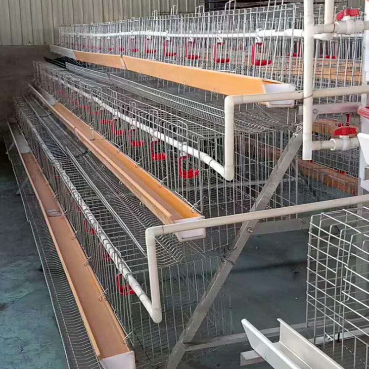 养鸡笼子厂家 直销阶梯式鸡笼 层叠式肉鸡笼鸡笼 养殖笼批发价格优惠