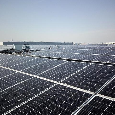 分布式光伏项目开发 太阳能发电 沈阳筑丰科技 光伏发电 地面光伏 工商业屋顶光伏