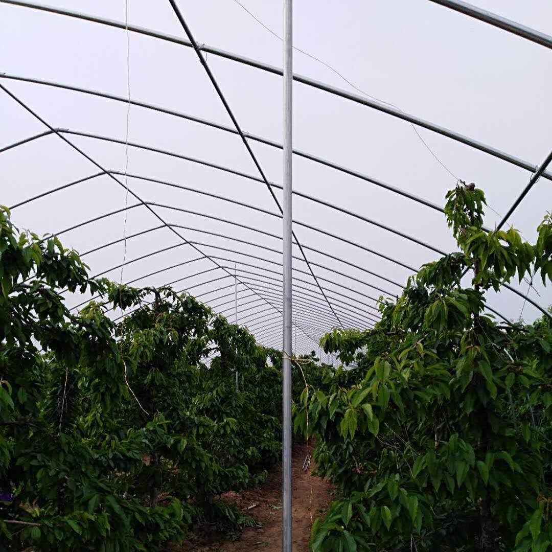 防风遮雨钢架温室，樱桃树大棚一亩，葡萄树大棚1平方，种植养殖遮阳棚，蔬菜棚建造图片