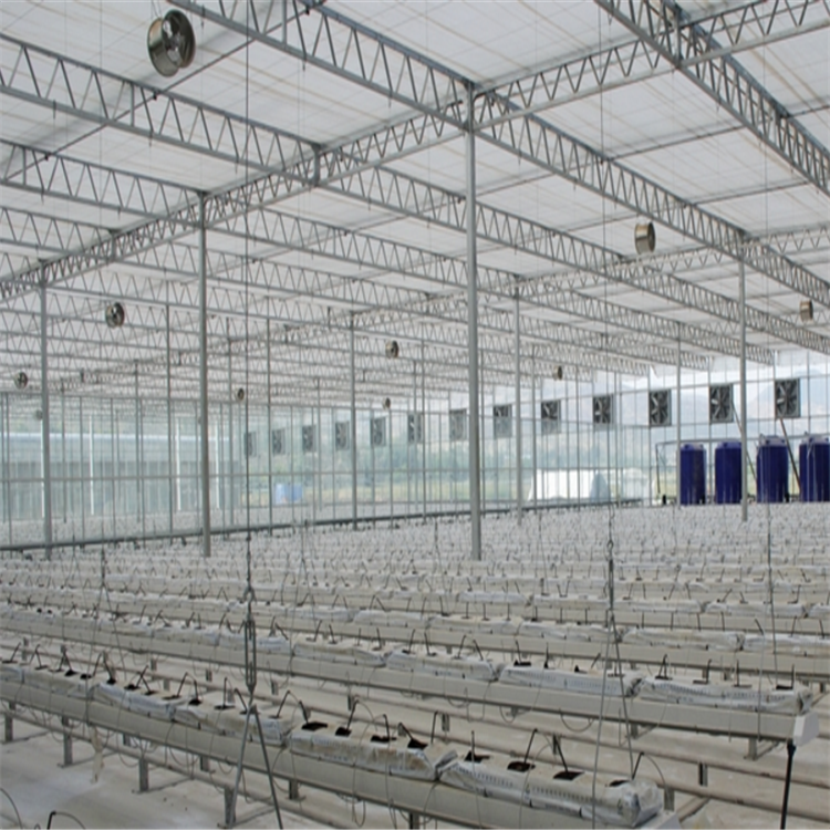 农业温室大棚 太阳板温室大棚 新型玻璃大棚报价 博伟 BW