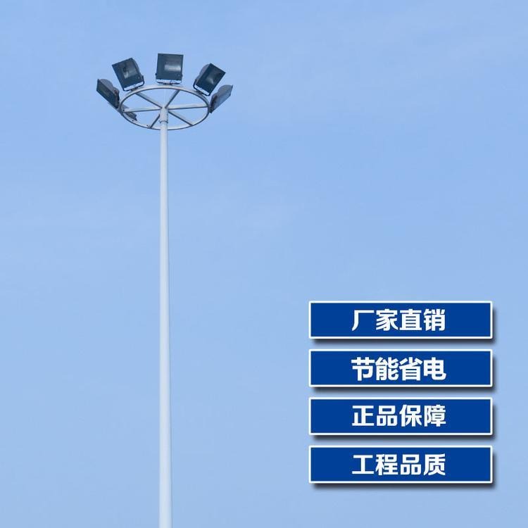 厂家批发 篮球场灯 LED户外防水路灯 广场足球场道路照明灯 6米7米8米高杆路灯图片