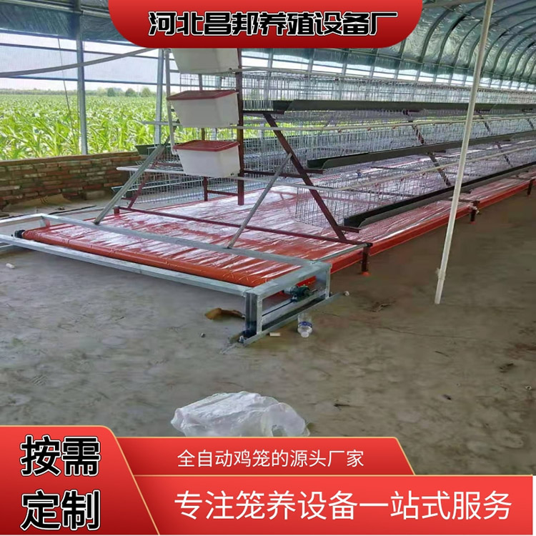 养殖笼具批发 不锈钢鸡笼 昌邦 养殖笼具定制 厂家出售