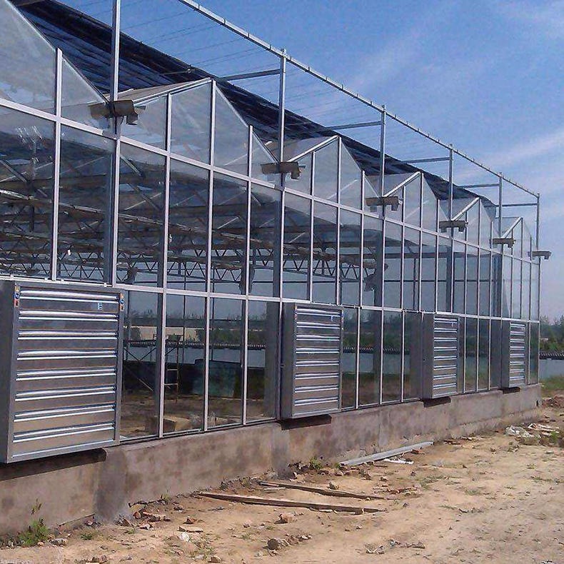 玻璃连栋温室 玻璃温室 纹络温室 多功能骨架式大棚建造 嘉诺温室精选
