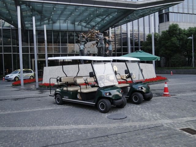 云南丽江酒店用品电动高尔夫车 电动观光车，利凯士得观光车厂家