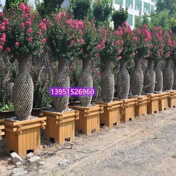 四川基地紫薇花瓶骨架 造型海棠花瓶编织模具 树艺编织紫薇柱方法技巧图片