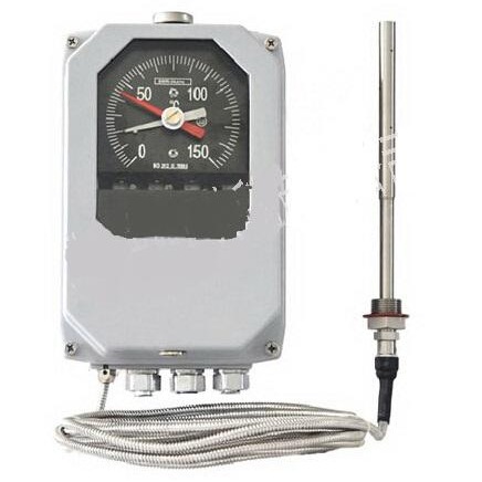 中西器材 变压器油面温控器方型 型号:BWY-804 TH  库号：M407944