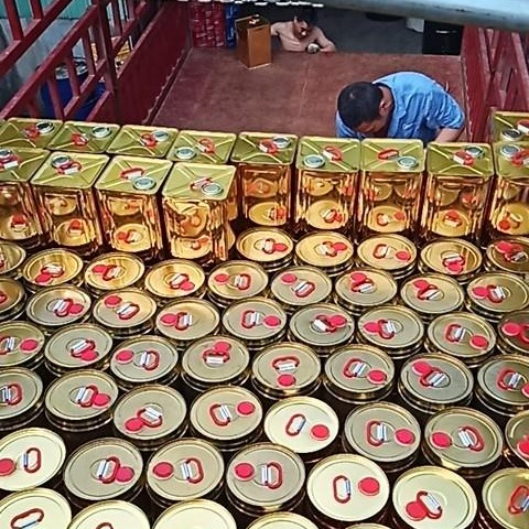 邦宇威 911聚氨酯防水涂料 广州生产厂家供货 专车直达图片