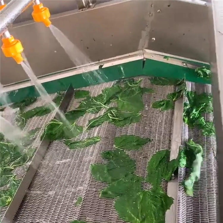 桑叶菜漂烫流水线 小单机芽菜加工设备 华邦桑芽菜生产线