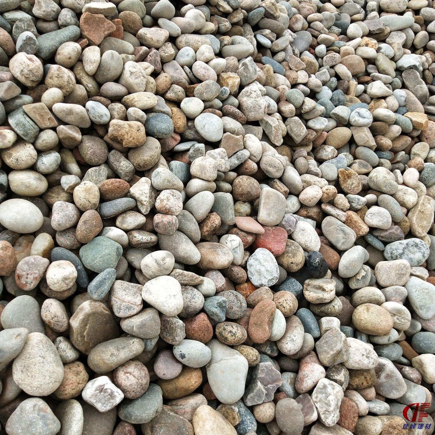 天津厂家供应 垫层用鹅卵石 5-8cm河卵石 河滩石 现货批发