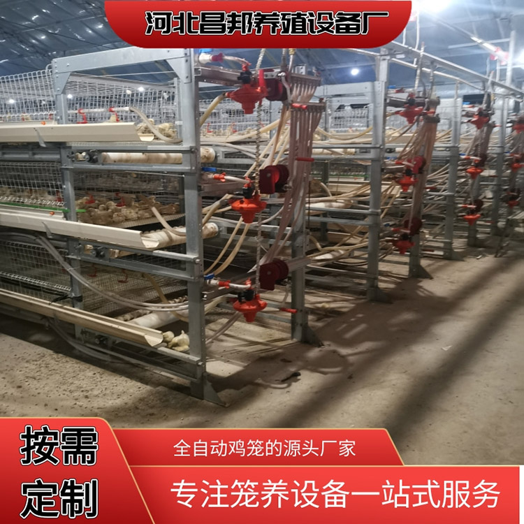 隔断鸡笼 立式肉鸡笼 昌邦 供应养殖笼具 常年出售