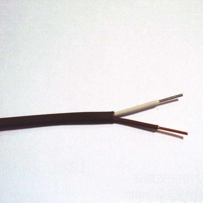 安东电缆 生产供应 KX补偿导线 K型热电偶补偿导线 2x1 补偿导线