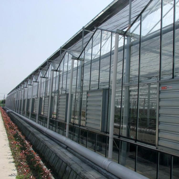潍坊建达温室 玻璃大棚 阳光板温室 阳光板温室大棚 大棚材料