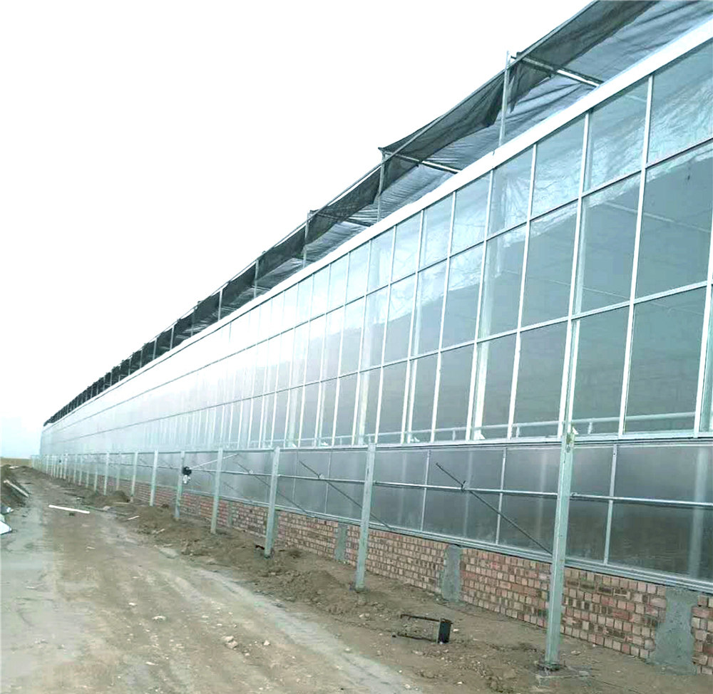 新型玻璃智能水果温室 花卉温室厂家 自控玻璃温室价格 博伟 BW
