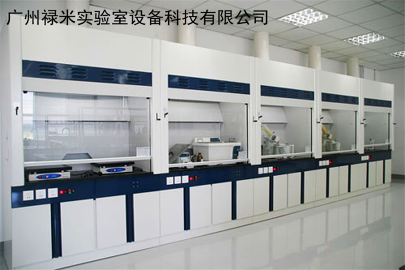 禄米实验室全钢通风柜价格 生产定制规格LUMI-TF34Q