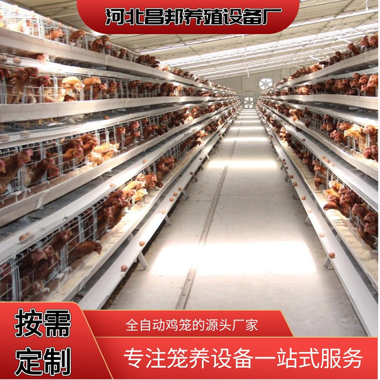 供应蛋鸡笼 层叠鸡笼价格 昌邦 肉鸡养殖笼 选材严格