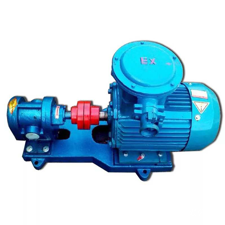 厂家直销2CY系列高压齿轮泵 振动小 效率高 齿轮式输油泵示例图6
