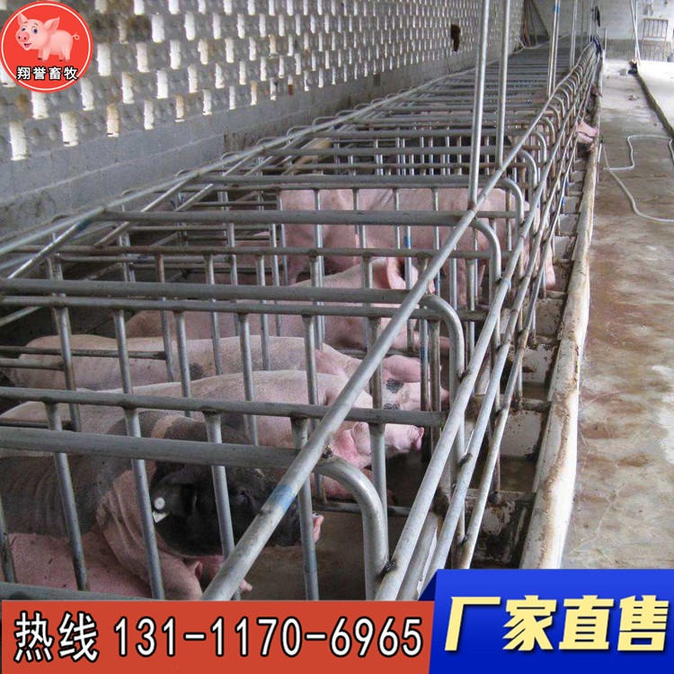 复合板母猪定位栏 母猪限位栏热镀锌 双体母猪产床 养猪设备 仔猪保育床翔誉畜牧