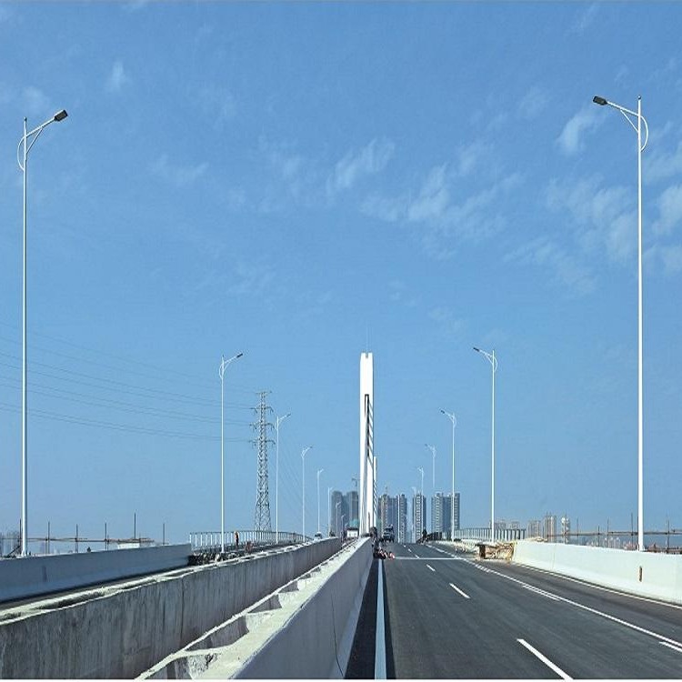 宇泉路灯高杆灯直销  高架桥10米led路灯  庭院太阳能路灯定制