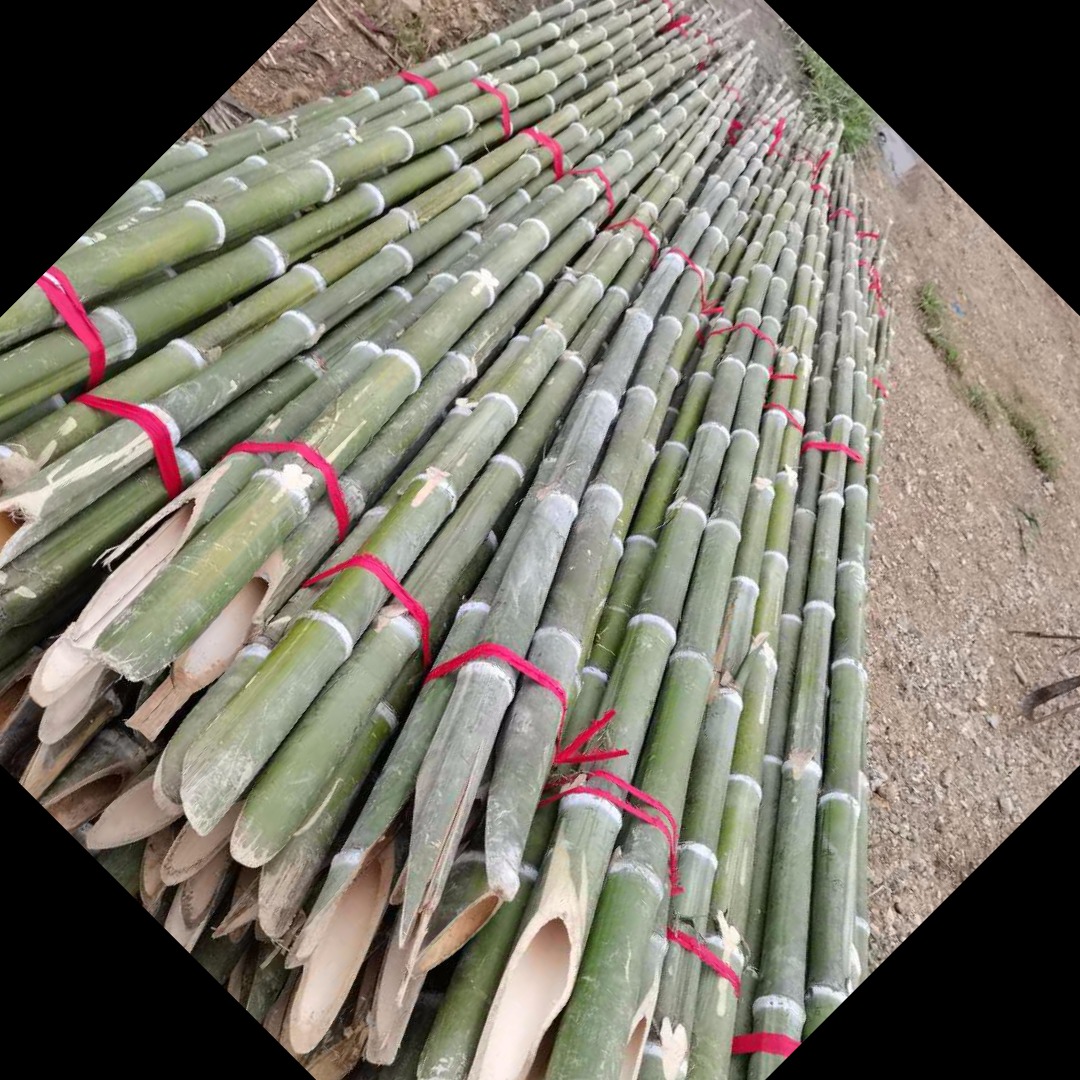原产地常年批发 果树木绿化支撑杆用 1到5米毛竹稍 竹竿 农用大棚搭架用长竹秆