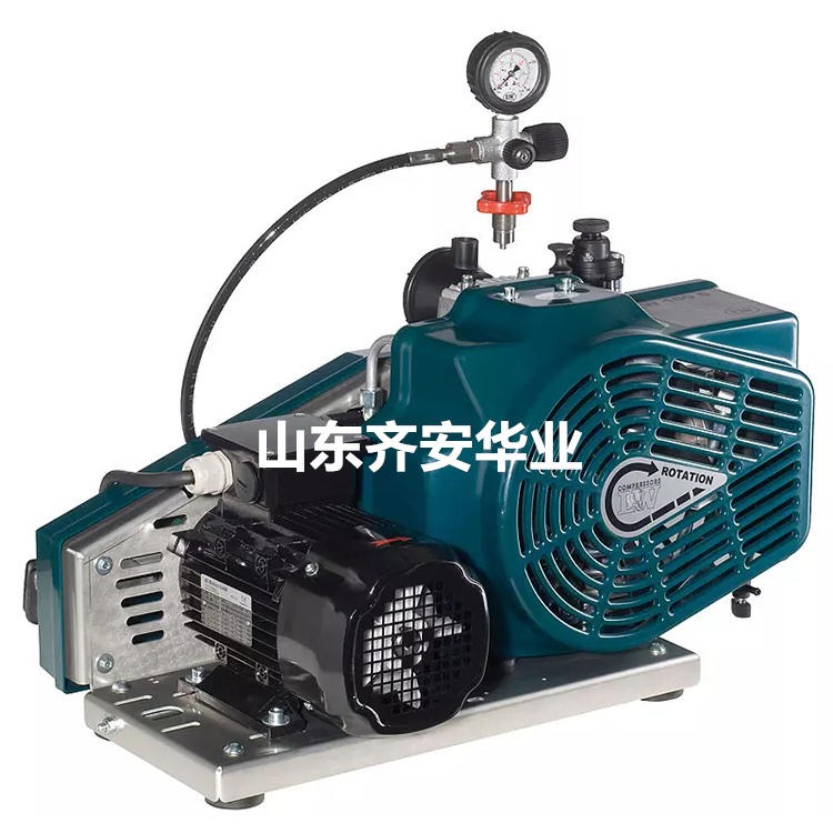 L W爱安达空气压缩机LW100 E充气泵保养滤芯000644